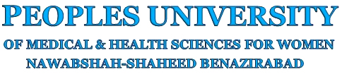 BS Nursing- PUMHS University-BEGUM BILQUEES SULTANA INSTITUTE ( BS NURSING )