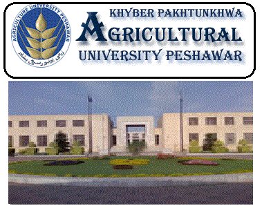 University of Agriculture, Peshawar