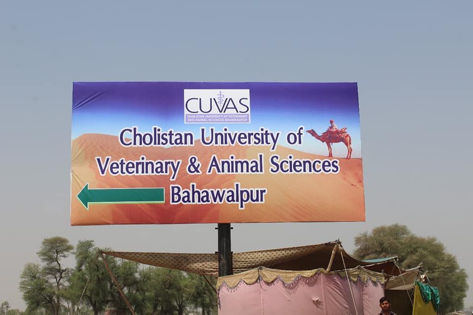 Cholistan University of Veterinary and Animal Sciences