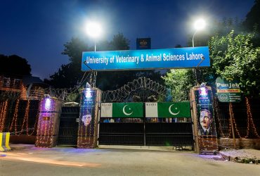 University Of Veterinary And Animal Sciences, LAHORE