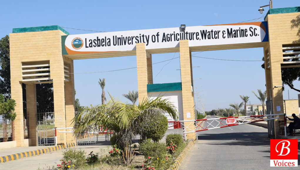 Lasbela University of Agriculture, Water & Marine Sciences (LUAWMS)