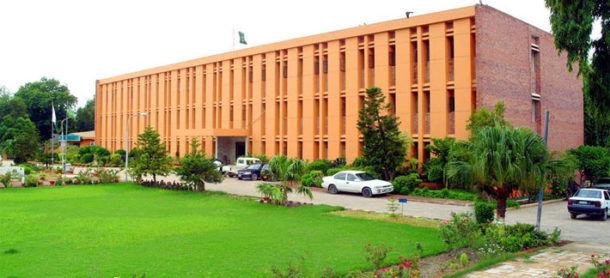 Sindh Agriculture University