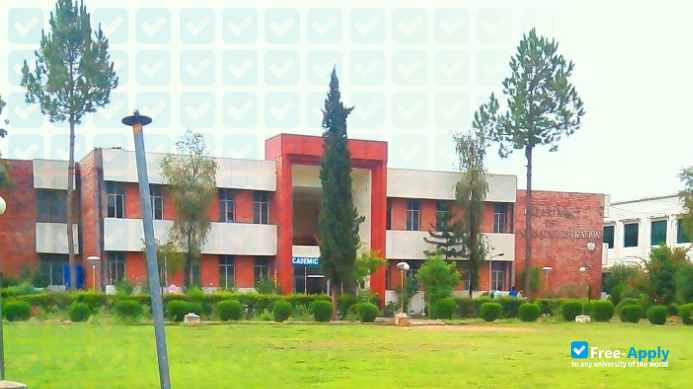 University of Kotli