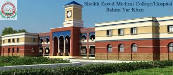 School Of Nursing, Sheikh Zayed Hospital